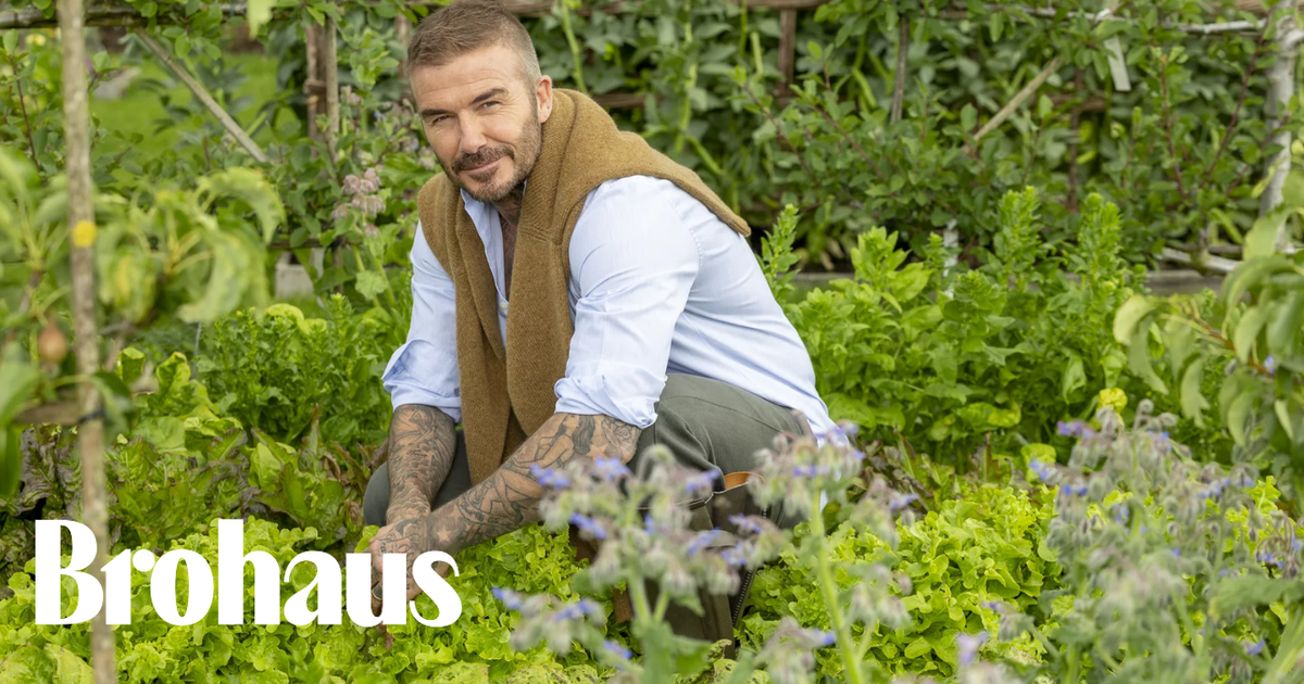 Khu vườn trồng rau nuôi gà 350 tỷ của Beckham