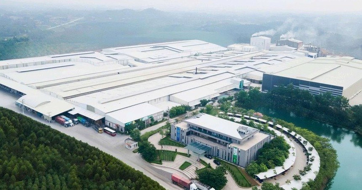 Trước thềm huy động vốn gần 800 tỷ đồng, Amy Grupo của Chủ tịch 75 tuổi báo lãi giảm 13%