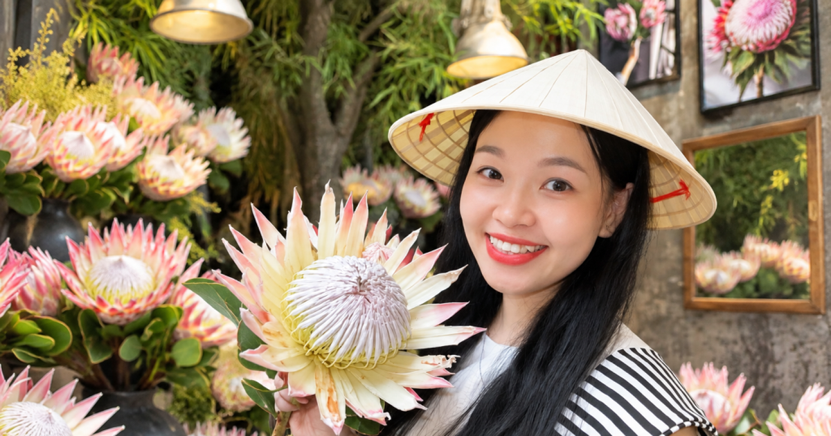 "Thảo đường hoàng đế" là hoa gì mà giá tới 1,5 triệu đồng/bông, khiến giới trẻ rần rần xếp hàng check-in?