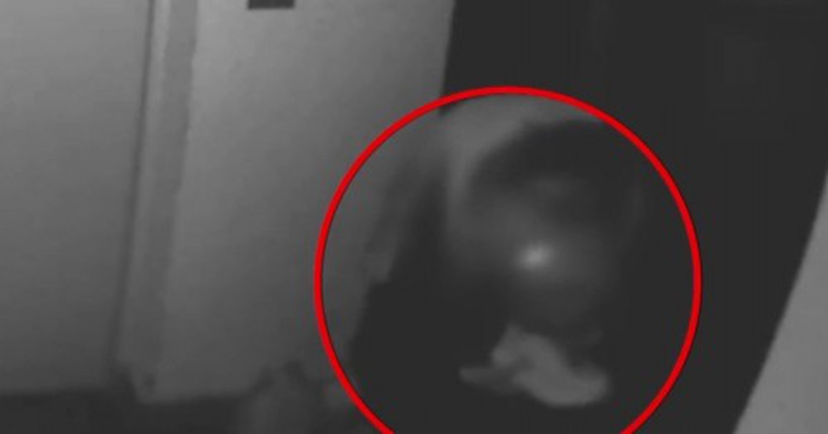 Người phụ nữ lắp camera hơn 2 tiếng, cảnh tượng ghi lại trong nhà khiến cô lập tức gọi cảnh sát