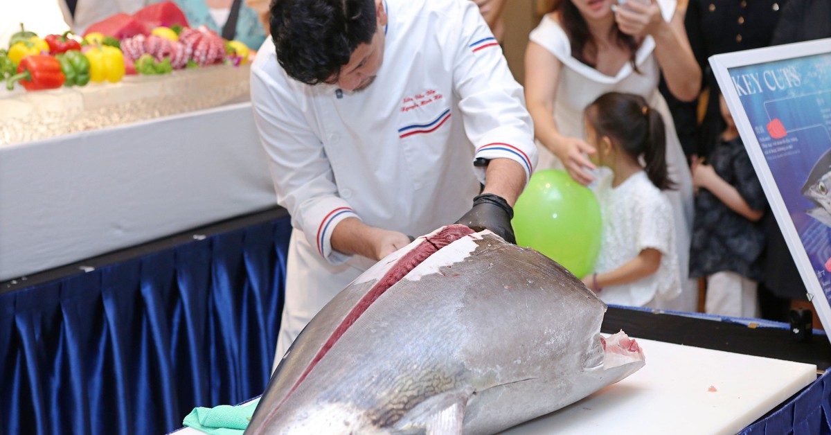 "Vua cá ngừ" 60kg vừa đáp chuyến bay từ Nhật Bản xuống Hà Nội: Giá khoảng 75 triệu đồng, đầu bếp dùng dao Nhật xẻ ngay trước thực khách