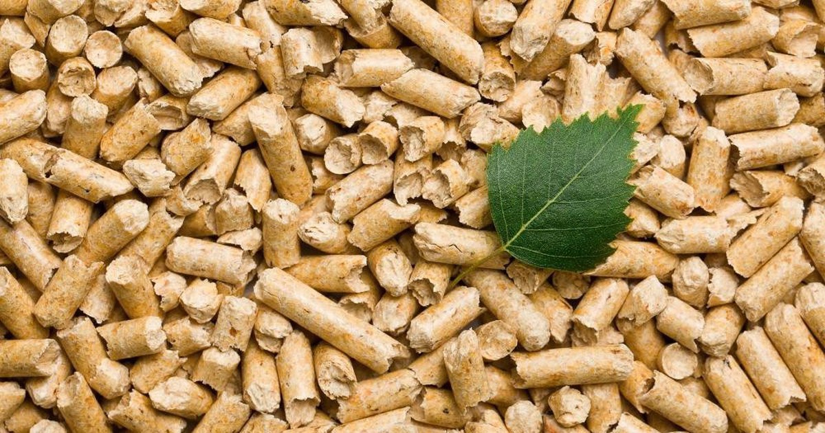 Điều lạ đang diễn ra tại 3 nhà máy điện than Việt Nam: Trộn gỗ vào than, có nơi tỷ lệ lên tới 30%