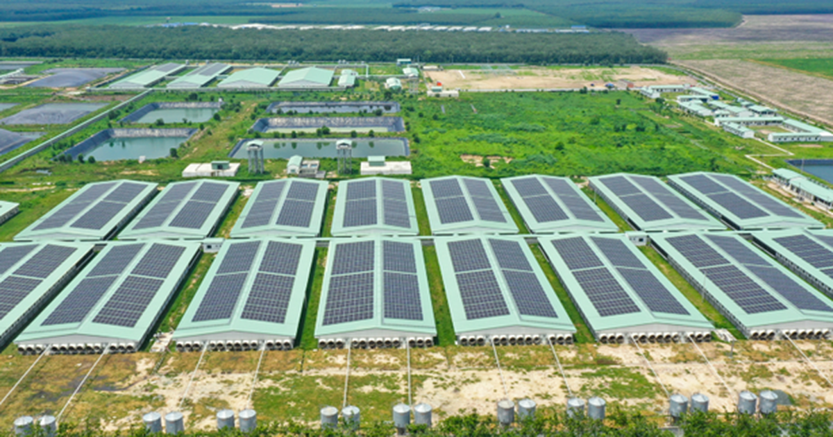 Baf Việt Nam thành lập công ty con chế biến thực phẩm tại Gia Lai