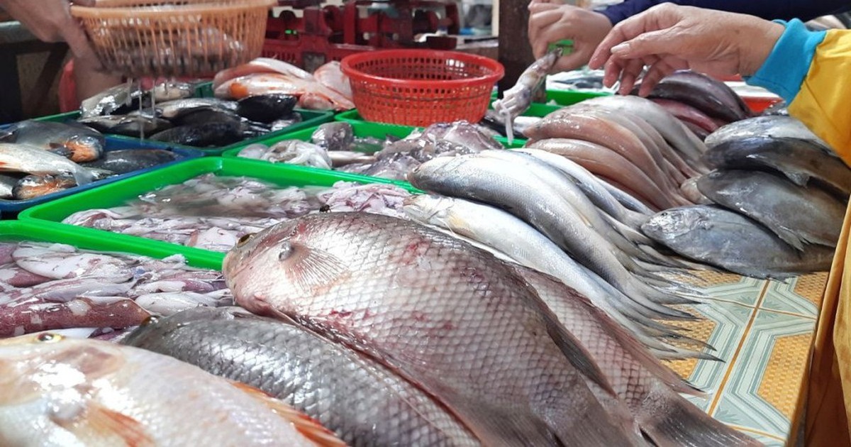 5 loại cá ra chợ thấy "ngon mắt", rẻ mấy cũng đừng mua!