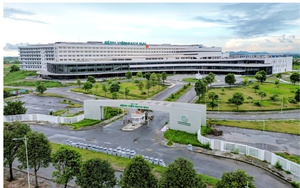 Vợ kém 15 tuổi thông báo dừng đưa NSND Công Lý sang Nhật chữa trị - Ảnh 3.
