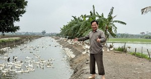 Nữ nghệ sĩ U40 mở hàng hải sản trên đường Ký Con, TP.HCM - Ảnh 6.