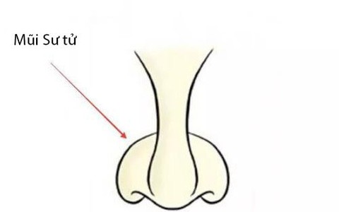 Trong nhân tướng học, phụ nữ có 3 tướng mũi được xem là phú quý, phúc tướng, phúc tài.
