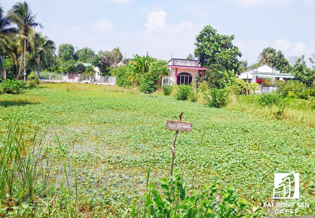 Tại bán đảo Thanh Đa hiện còn nhiều dự án chung cư vẫn chưa được áp dụng xây dựng.