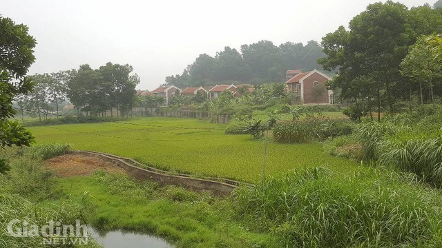 Việc xây dựng các công trình nhà trái phép tại Điền Viên Thôn diễn ra từ năm 2011 đến nay. Ảnh: Cao Tuân