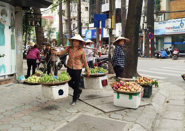 
Việc buôn bán trái cây trên vỉa hè, lòng đường của Hà Nội tới đây sẽ bị xoá xổ
