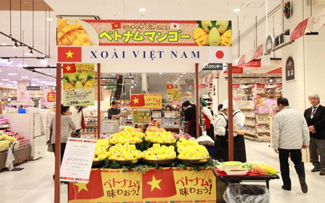 Xoài Cát Chu Việt Nam chính thức vào thị trường Nhật Bản. Ở đây, xoài có giá khoảng 100.000 đồng mỗi trái (Ảnh: KT)