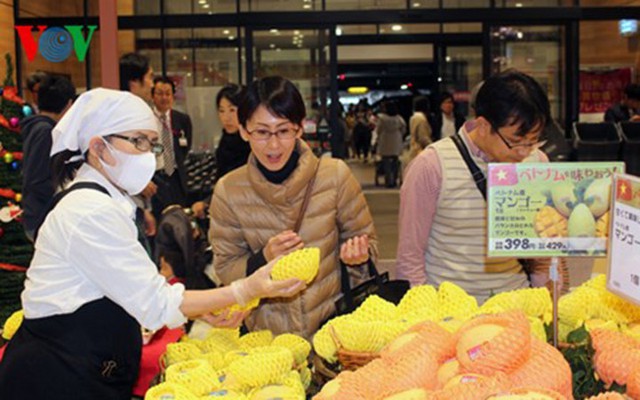 Người dân Nhật Bản hào hứng với việc mua xoài Cát Chu của Việt Nam
