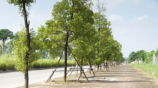 Mãn nhãn với con đường có 10 làn chuẩn bị thông xe ở Hà Nội   - Ảnh 9.