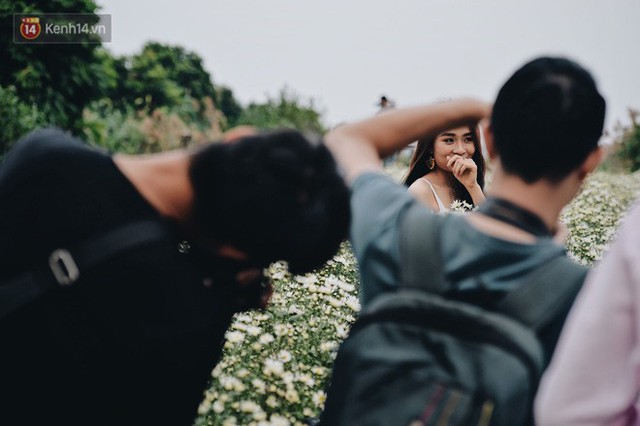 Vườn cúc hoạ mi ở Hà Nội thất thủ cuối tuần: 1 mét vuông có chục nhiếp ảnh gia và mẫu - Ảnh 11.