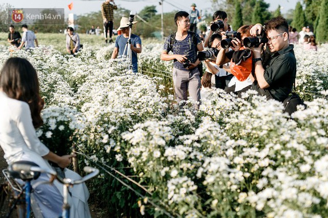 Vườn cúc hoạ mi ở Hà Nội thất thủ cuối tuần: 1 mét vuông có chục nhiếp ảnh gia và mẫu - Ảnh 16.