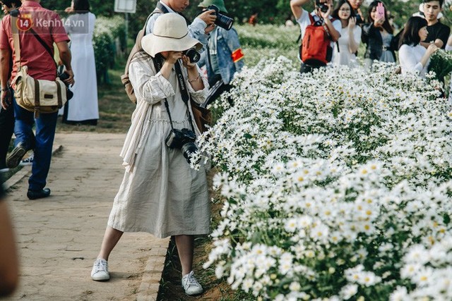 Vườn cúc hoạ mi ở Hà Nội thất thủ cuối tuần: 1 mét vuông có chục nhiếp ảnh gia và mẫu - Ảnh 7.
