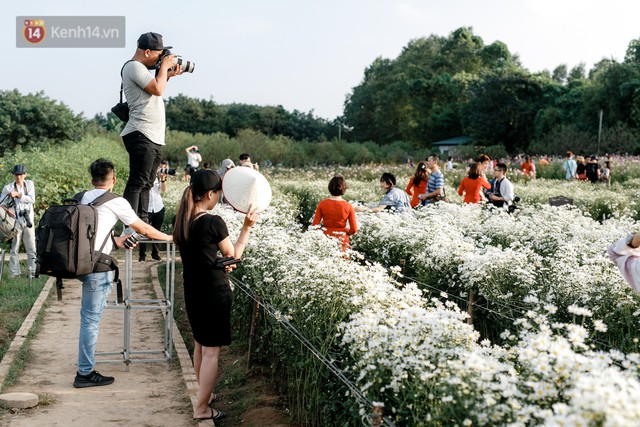 Vườn cúc hoạ mi ở Hà Nội thất thủ cuối tuần: 1 mét vuông có chục nhiếp ảnh gia và mẫu - Ảnh 8.