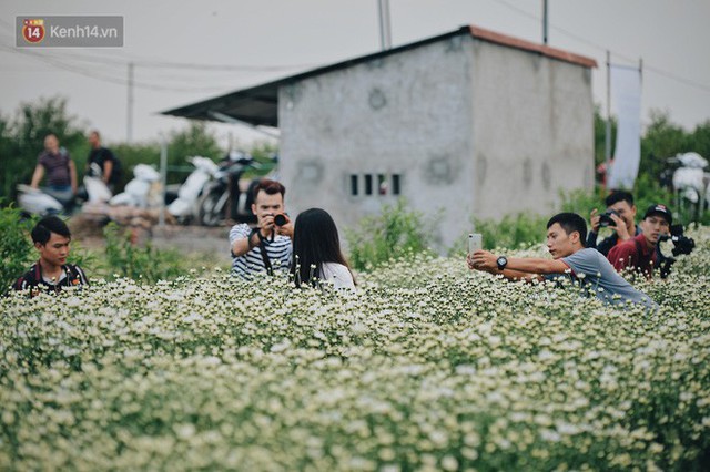 Vườn cúc hoạ mi ở Hà Nội thất thủ cuối tuần: 1 mét vuông có chục nhiếp ảnh gia và mẫu - Ảnh 10.