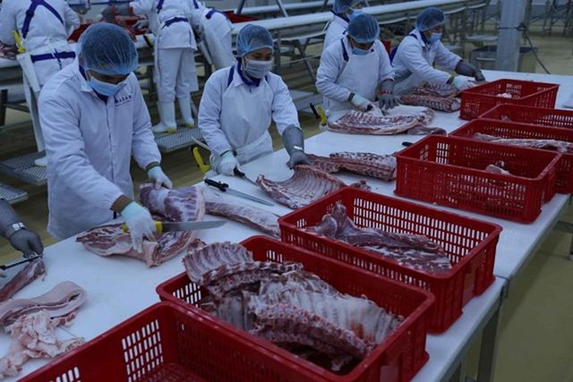 Nhà máy hơn 1.000 tỷ đồng và tham vọng của Masan với thị trường thịt 10,2 tỷ USD - Ảnh 1.