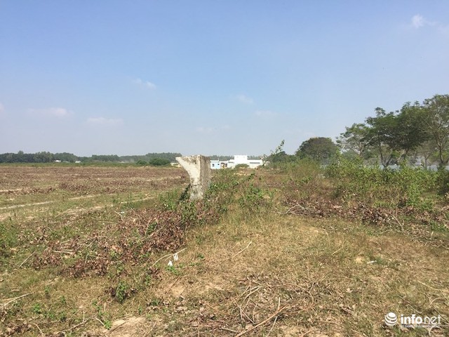 Đô thị “ma” Nhơn Trạch, Đồng Nai: La liệt dự án bỏ hoang, chung cư không người ở - Ảnh 1.
