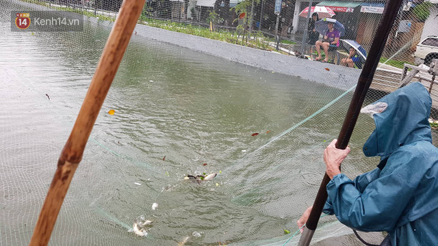 Hình ảnh chưa từng có ở Đà Nẵng: Xuồng bơi trên phố, người dân quăng lưới bắt cá giữa biển nước mênh mông - Ảnh 2.