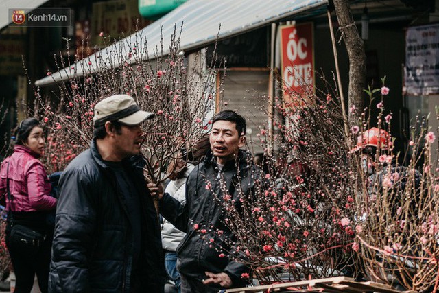 Chùm ảnh: Ghé thăm chợ hoa truyền thống lâu đời nhất Hà Nội - cả năm chỉ họp đúng một phiên duy nhất - Ảnh 7.