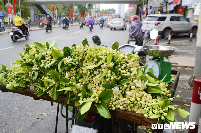 Hoa bưởi đầu mùa, giá tới 300.000 đồng/kg vẫn hút khách Hà Nội - Ảnh 3.