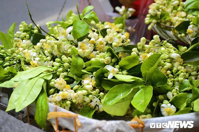 Hoa bưởi đầu mùa, giá tới 300.000 đồng/kg vẫn hút khách Hà Nội - Ảnh 4.