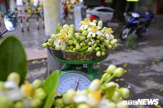 Hoa bưởi đầu mùa, giá tới 300.000 đồng/kg vẫn hút khách Hà Nội - Ảnh 9.