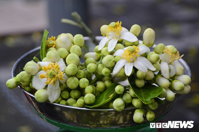 Hoa bưởi đầu mùa, giá tới 300.000 đồng/kg vẫn hút khách Hà Nội - Ảnh 10.