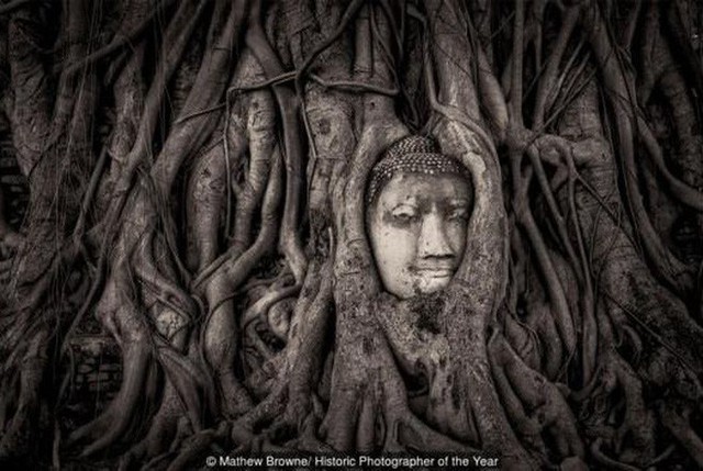 Bức tượng Phật 700 năm bị rễ cây nuốt chửng hé lộ sự tương đồng với nghệ thuật điêu khắc nổi tiếng nhất châu Âu - Ảnh 7.