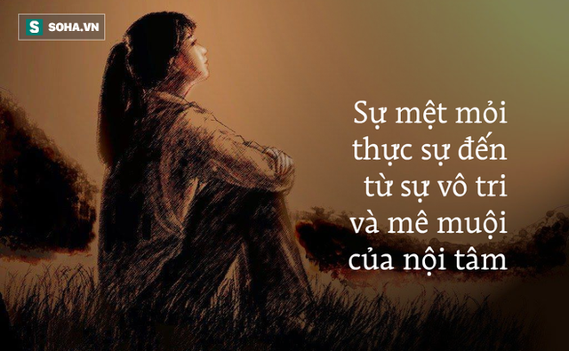  Đệ tử có ô nhưng không mượn, Khổng Tử nói 1 câu giải thích lý do, nhiều người nên nhớ - Ảnh 1.