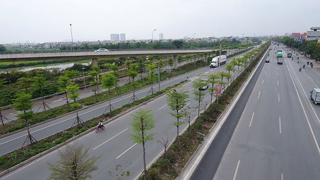Những hàng cây xanh mướt thẳng tắp ở đầu cầu Thanh Trì - Ảnh 12.