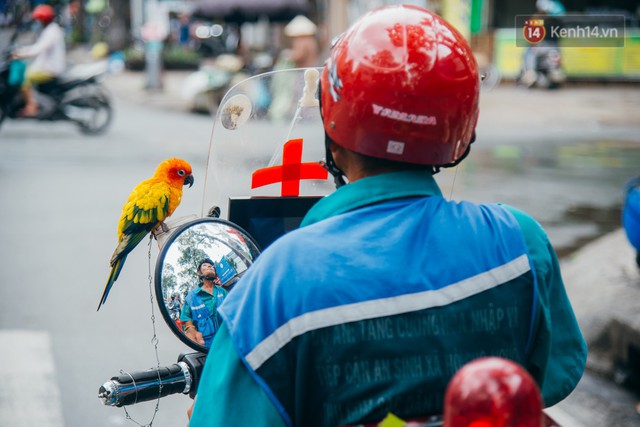 Ông cụ nhặt rác và chú vẹt ở Sài Gòn trên chiếc xe cứu thương đáng yêu được chế tạo từ phế liệu - Ảnh 1.
