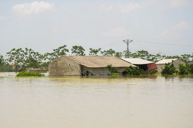 Sau 1 tuần mưa, người Hà Nội dùng thuyền tự chế, bơi trong dòng nước ngập ao bèo về nhà - Ảnh 24.