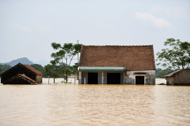 Sau 1 tuần mưa, người Hà Nội dùng thuyền tự chế, bơi trong dòng nước ngập ao bèo về nhà - Ảnh 26.
