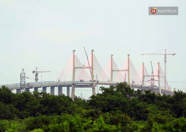 Ảnh: Cây cầu dây văng hơn 7.000 tỷ nối Hạ Long - Hải Phòng trước ngày thông xe - Ảnh 5.