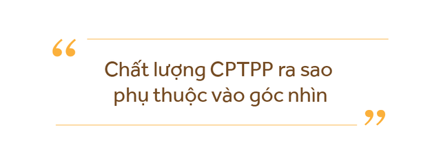 Thứ trưởng Trần Quốc Khánh: Không có lý do để bi quan với CPTPP - Ảnh 3.