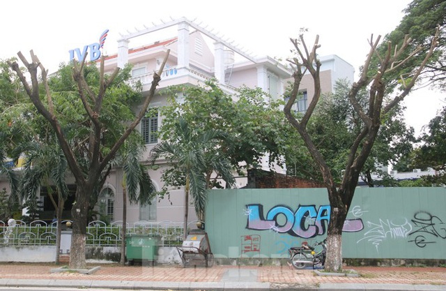 Hàng trăm cây xanh ở Đà Nẵng bất ngờ bị cắt trụi cành - Ảnh 10.