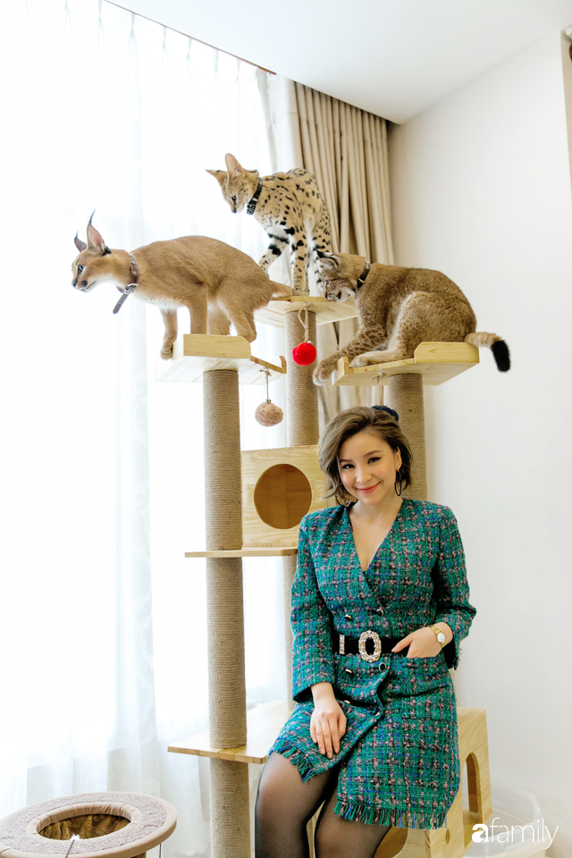 Trang Hà - Cô gái mang những chú mèo trị giá hàng tỷ đồng về Việt Nam và tiết lộ trào lưu nuôi thú cưng mới của giới đại gia và siêu giàu tại Sài Gòn - Ảnh 15.