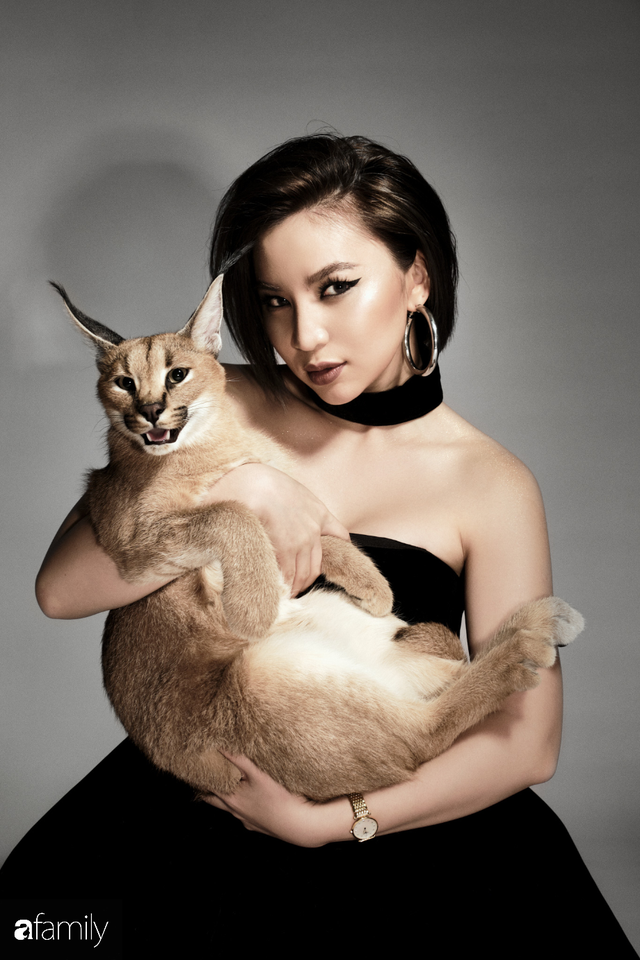 Trang Hà - Cô gái mang những chú mèo trị giá hàng tỷ đồng về Việt Nam và tiết lộ trào lưu nuôi thú cưng mới của giới đại gia và siêu giàu tại Sài Gòn - Ảnh 30.