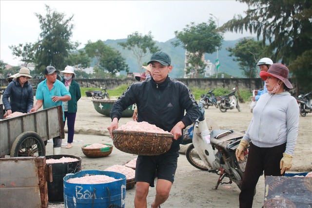 Ngư dân Đà Nẵng trúng mùa ruốc đầu năm, thu nhập bạc triệu mỗi ngày - Ảnh 6.