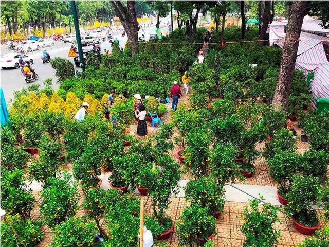 Chợ hoa Tết lớn nhất Sài Gòn nhộn nhịp ngày cuối năm - Ảnh 1.