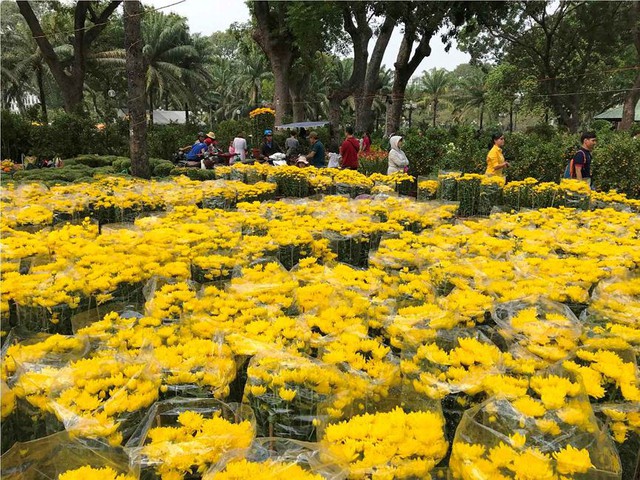 Chợ hoa Tết lớn nhất Sài Gòn nhộn nhịp ngày cuối năm - Ảnh 11.