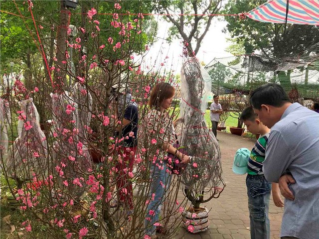 Chợ hoa Tết lớn nhất Sài Gòn nhộn nhịp ngày cuối năm - Ảnh 5.