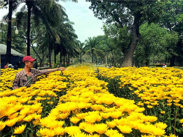 Chợ hoa Tết lớn nhất Sài Gòn nhộn nhịp ngày cuối năm - Ảnh 9.