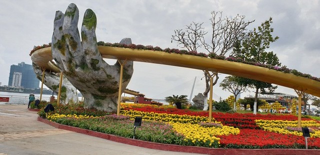 Cầu Vàng đọ dáng cầu Rồng ở đường hoa bên bờ sông Hàn - Ảnh 3.