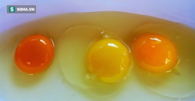  8 điều hiểu lầm khiến nhiều người tưởng trứng không tốt mà kiêng không dám ăn - Ảnh 2.