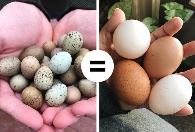  8 điều hiểu lầm khiến nhiều người tưởng trứng không tốt mà kiêng không dám ăn - Ảnh 5.