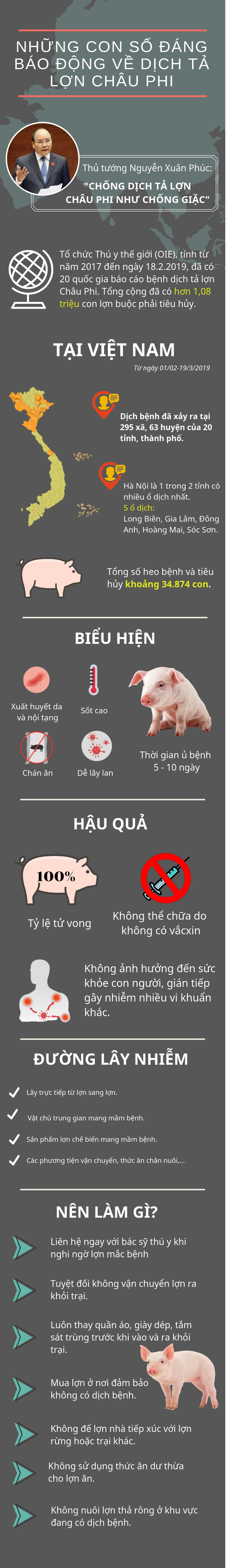 Những con số đáng báo động về dịch tả lợn châu Phi - Ảnh 1.